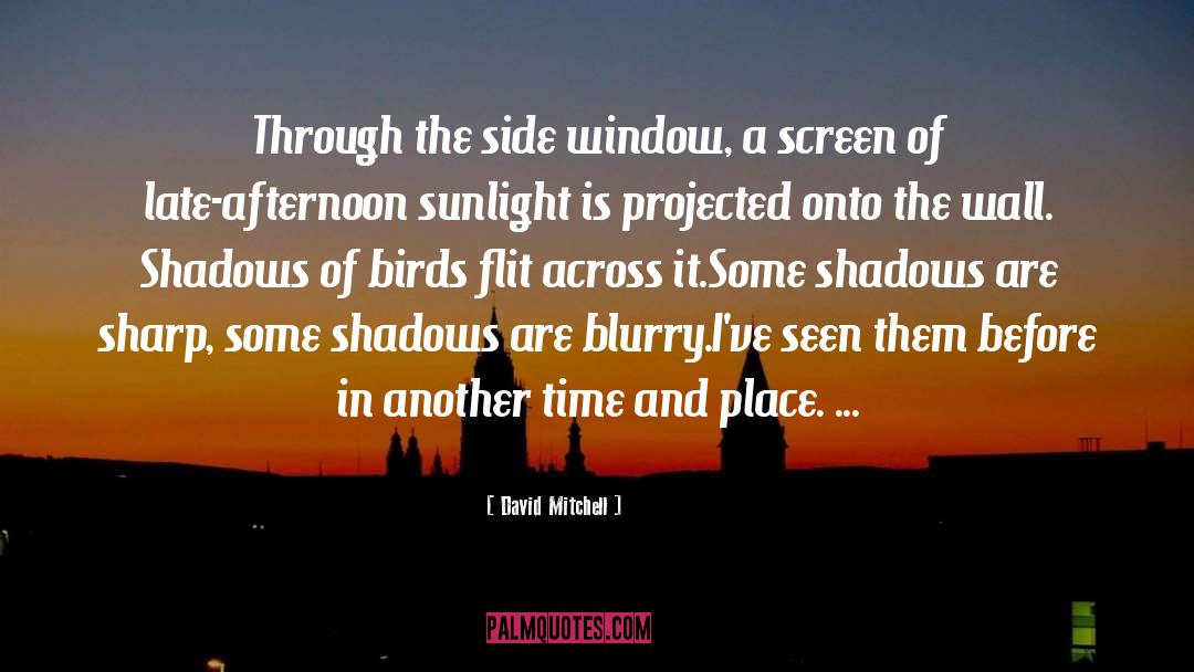In Praise Of Shadows quotes by David Mitchell