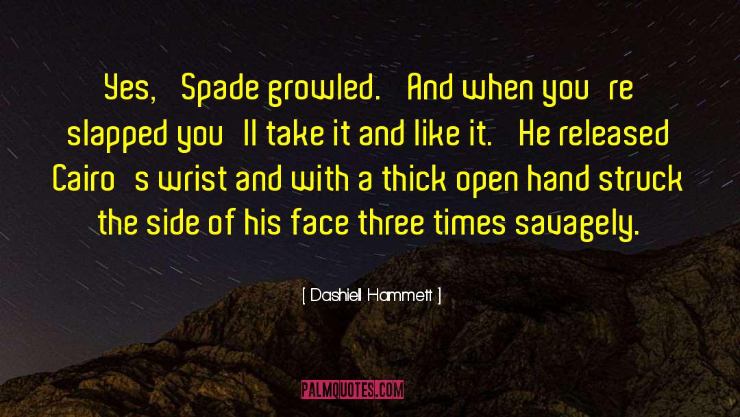 In Spades quotes by Dashiell Hammett