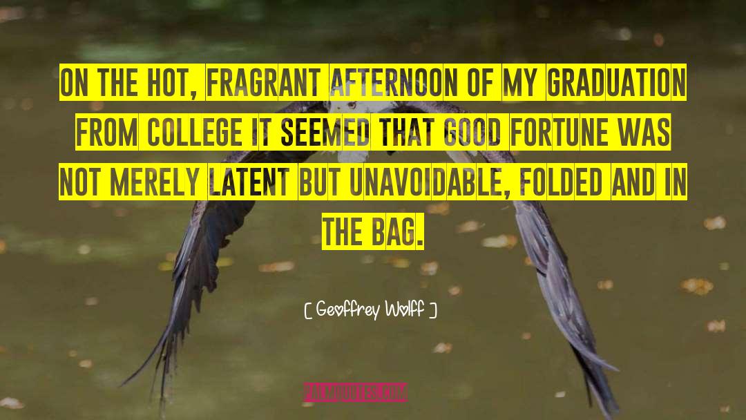 In The Bag quotes by Geoffrey Wolff