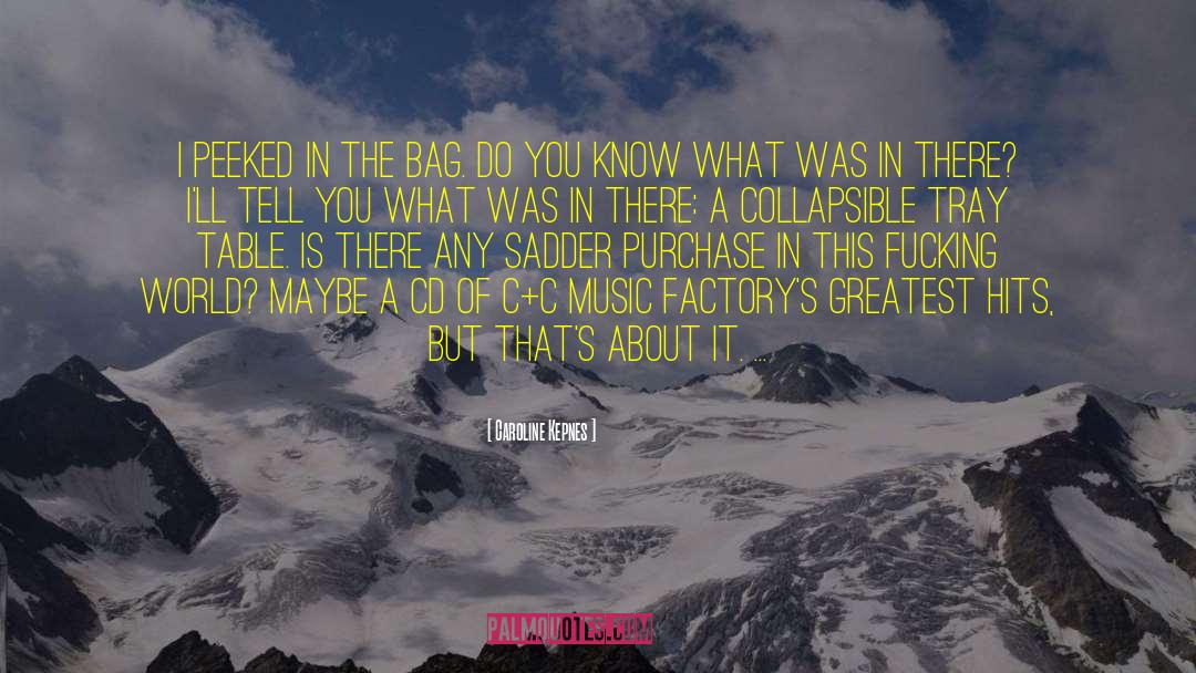 In The Bag quotes by Caroline Kepnes