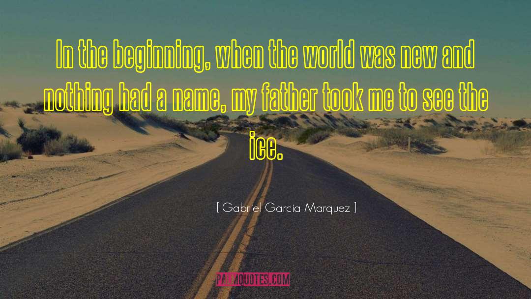 In The Beginning quotes by Gabriel Garcia Marquez