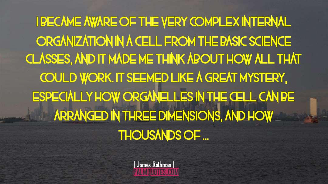 In The Cell quotes by James Rothman