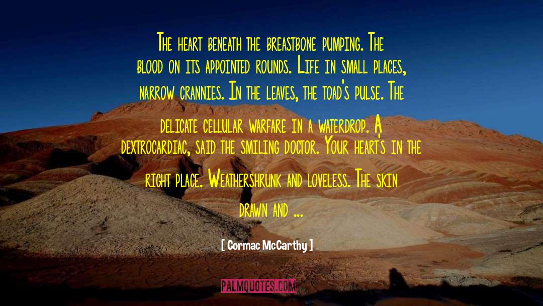 In The Clearing quotes by Cormac McCarthy