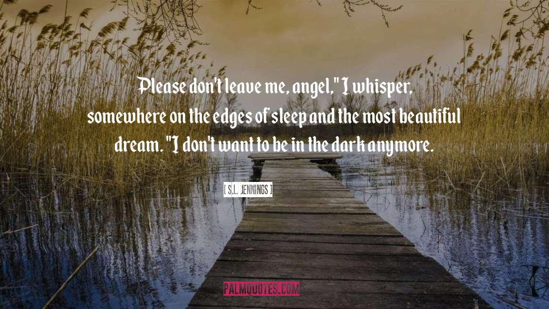 In The Dark quotes by S.L. Jennings
