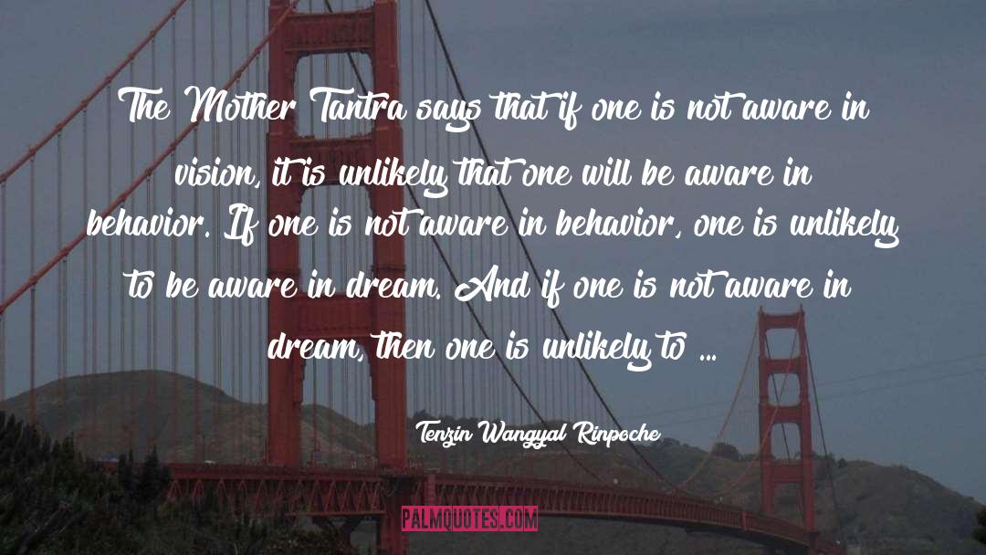 In The Dream House quotes by Tenzin Wangyal Rinpoche