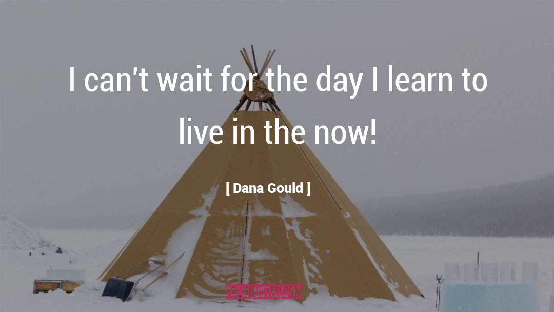 In The Now quotes by Dana Gould