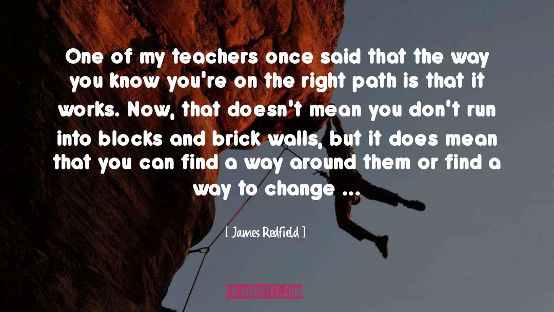 In The Path Of Falling Objects quotes by James Redfield