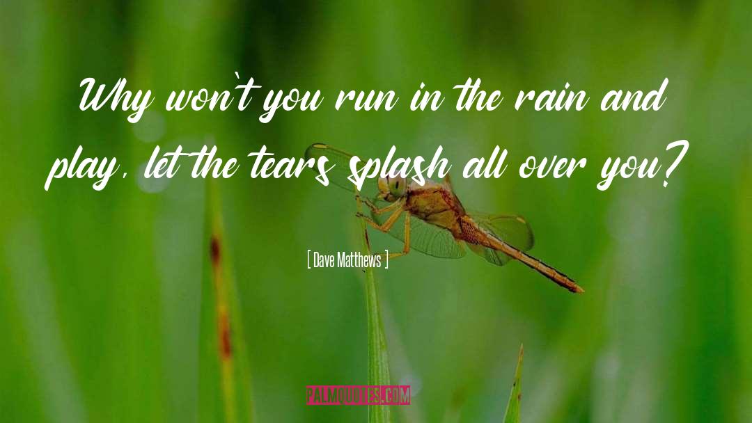In The Rain quotes by Dave Matthews