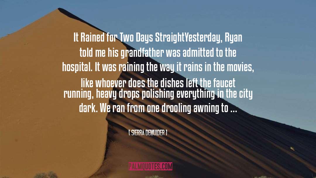 In The Rain quotes by Sierra DeMulder