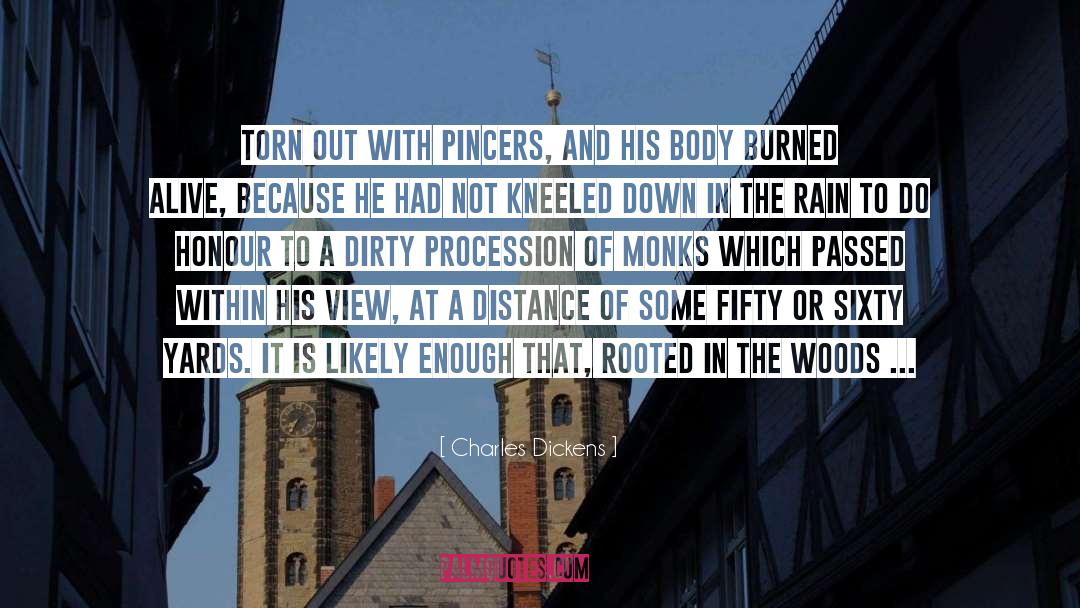 In The Rain quotes by Charles Dickens