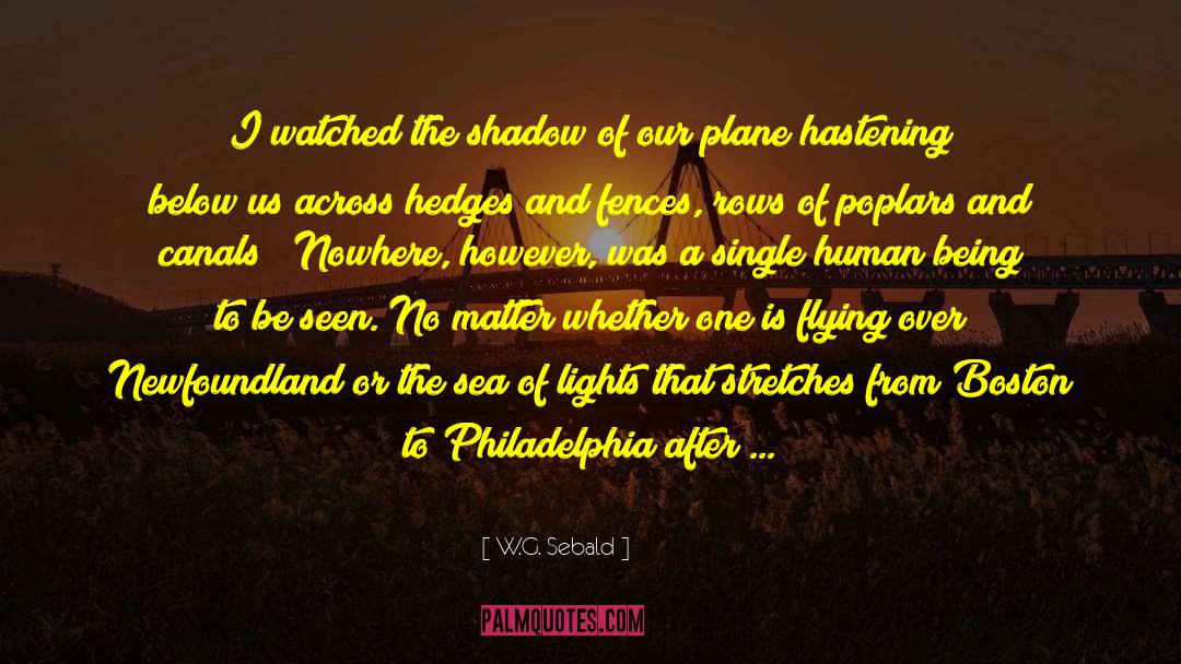 In The Shadow Of Sadd quotes by W.G. Sebald