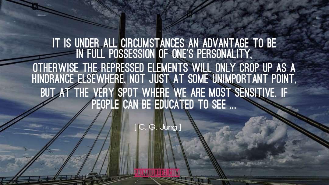 In The Shadow Of Spindrift House quotes by C. G. Jung