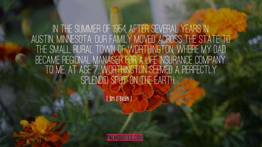 In The Summer quotes by Tim O'Brien