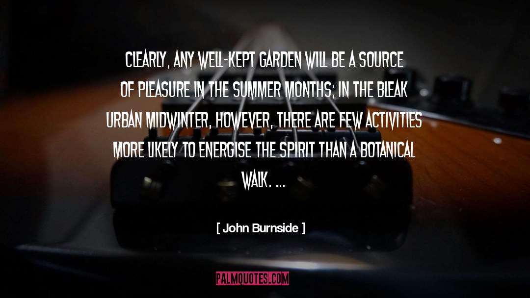 In The Summer quotes by John Burnside