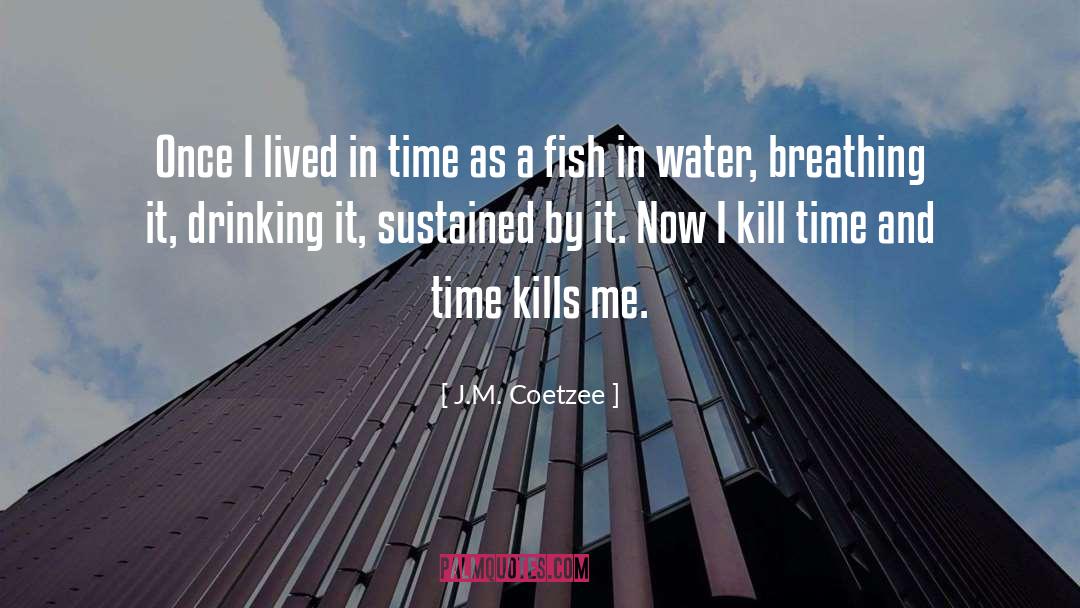 In Time quotes by J.M. Coetzee