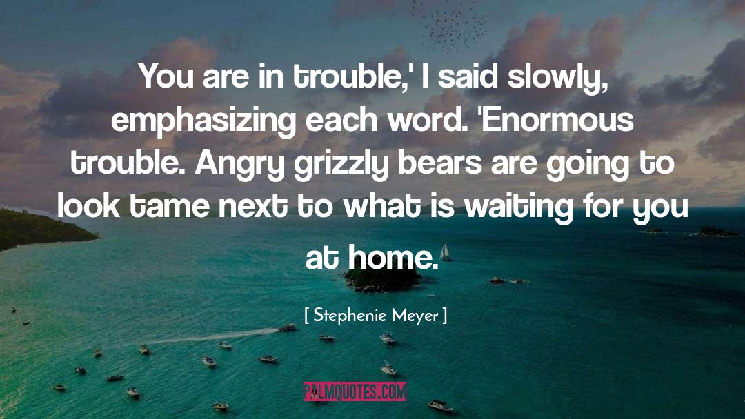 In Trouble quotes by Stephenie Meyer