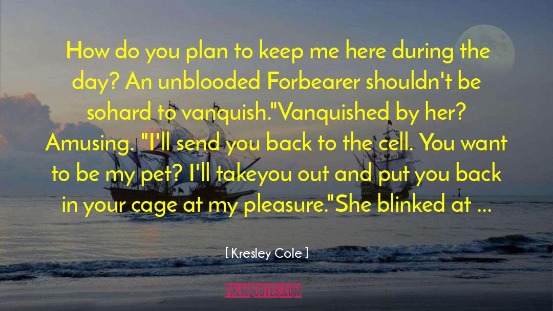 In Your Shadow I Can Shine quotes by Kresley Cole