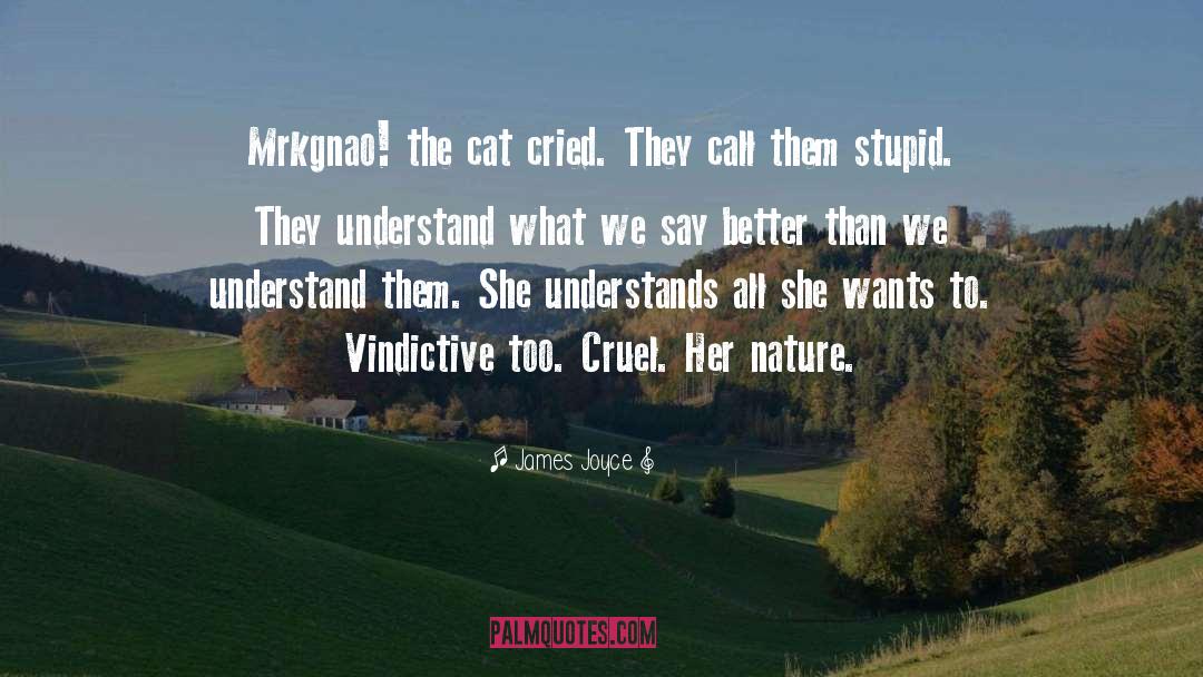 Inaba Cat quotes by James Joyce