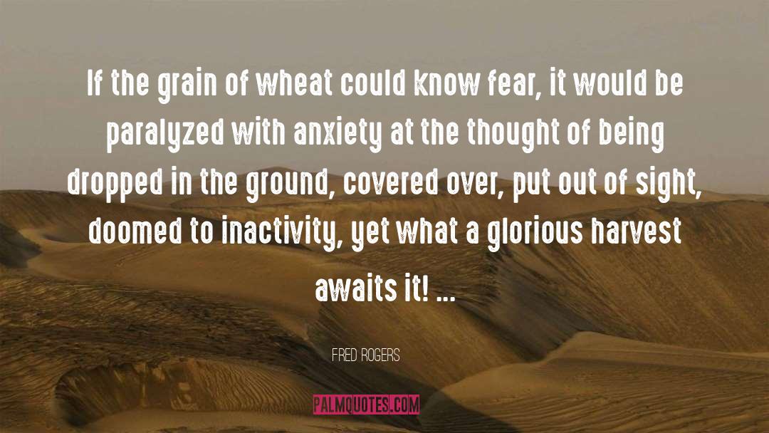 Inactivity quotes by Fred Rogers