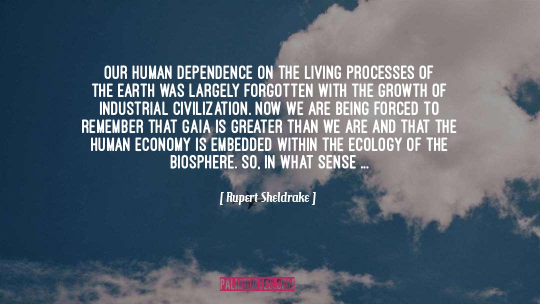 Inanimate quotes by Rupert Sheldrake