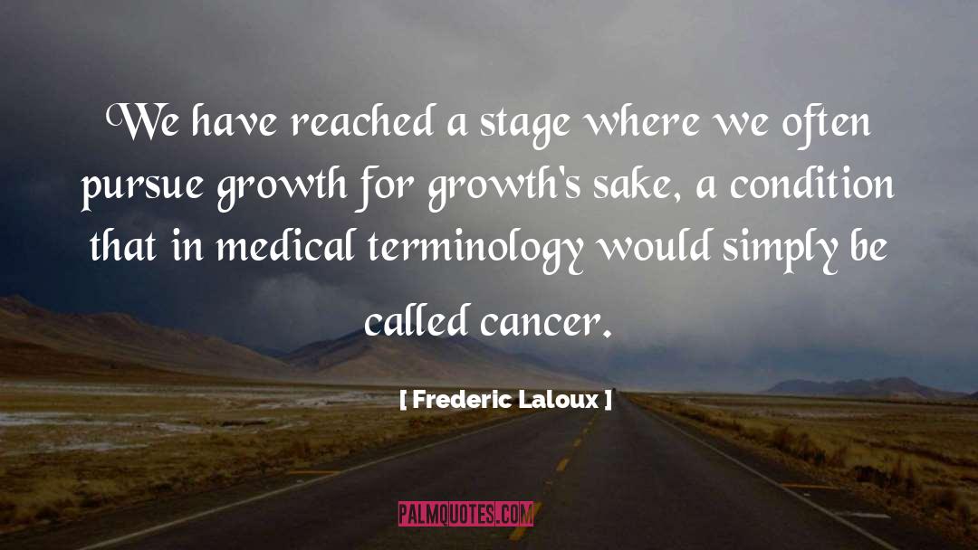 Inappropriate Terminology quotes by Frederic Laloux