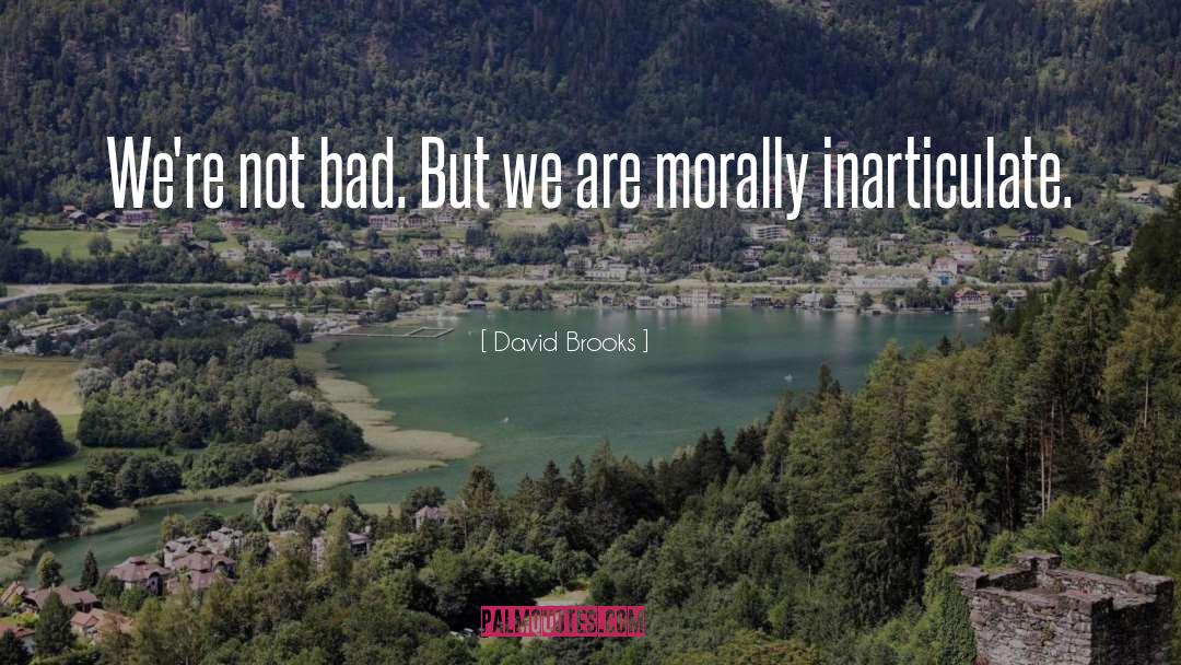 Inarticulate quotes by David Brooks