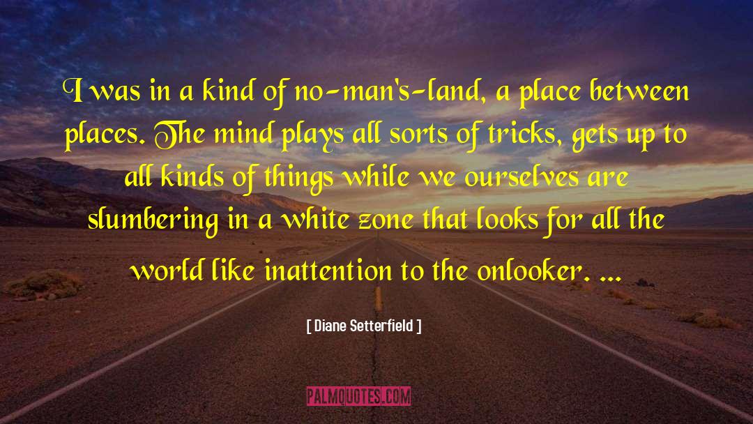 Inattention quotes by Diane Setterfield