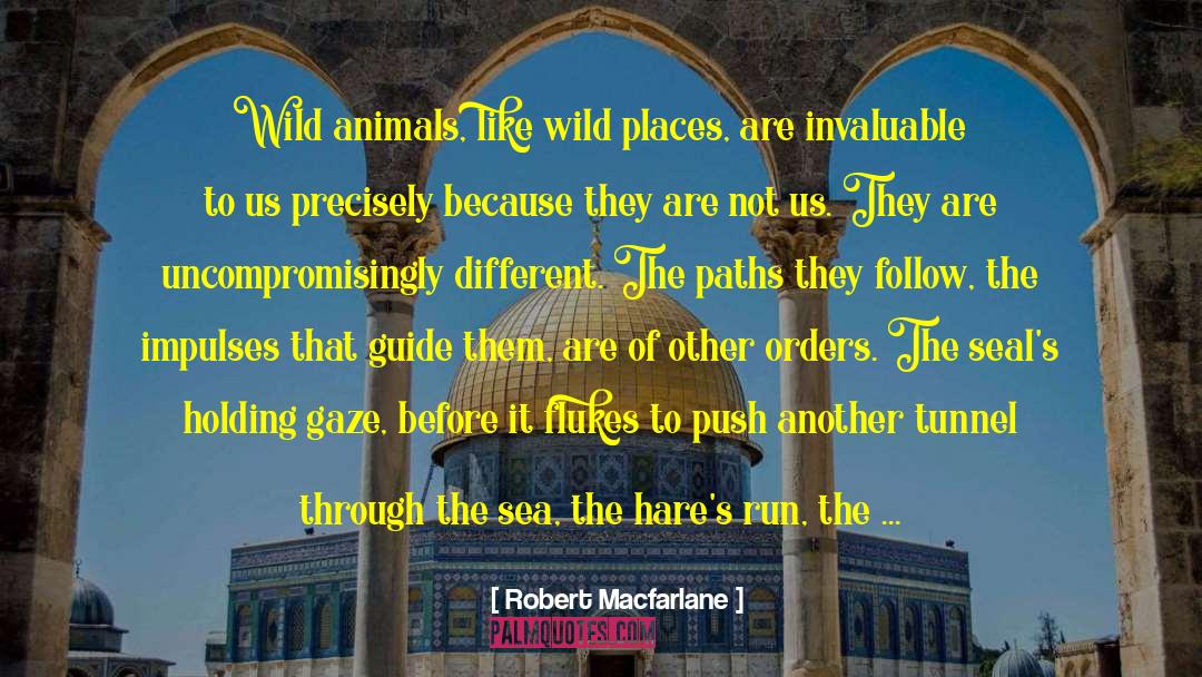 Inaudible quotes by Robert Macfarlane