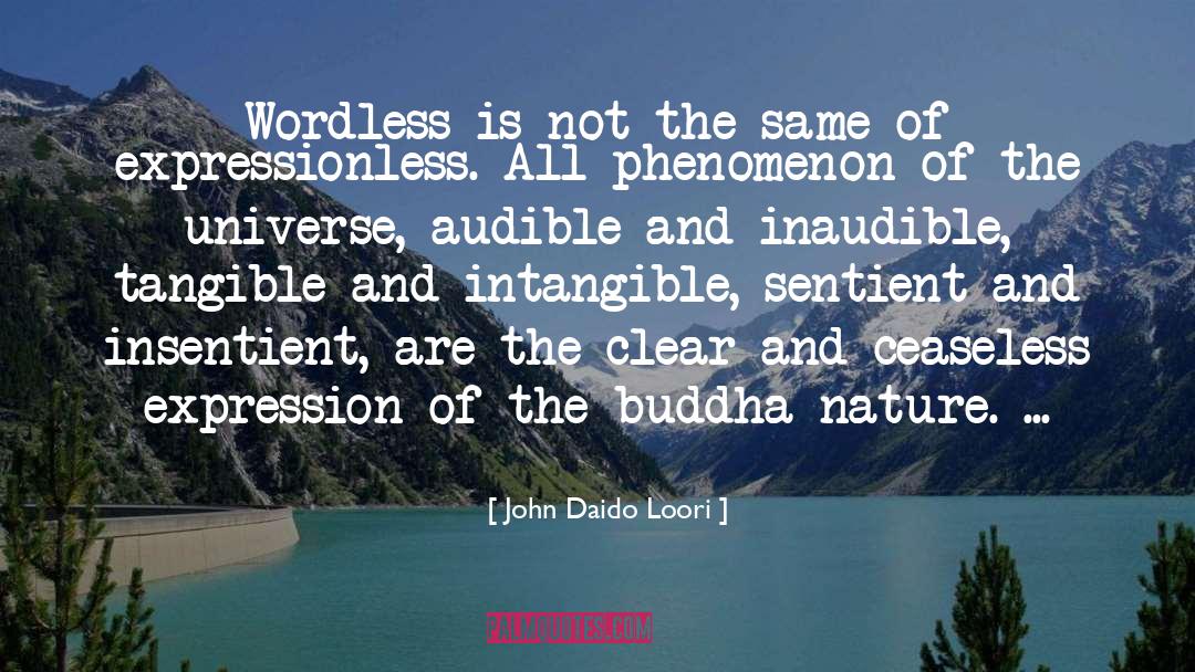 Inaudible quotes by John Daido Loori
