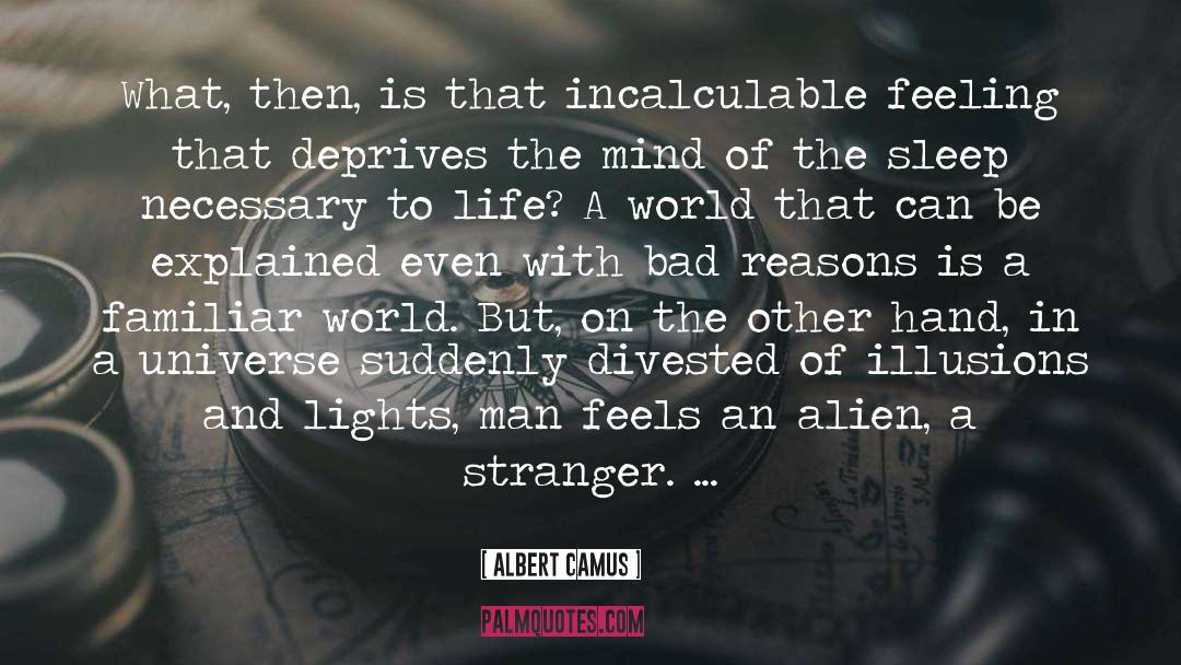 Incalculable quotes by Albert Camus