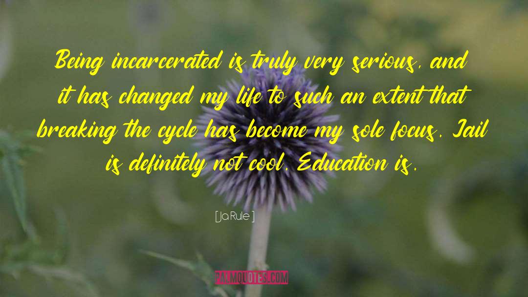 Incarcerated quotes by Ja Rule