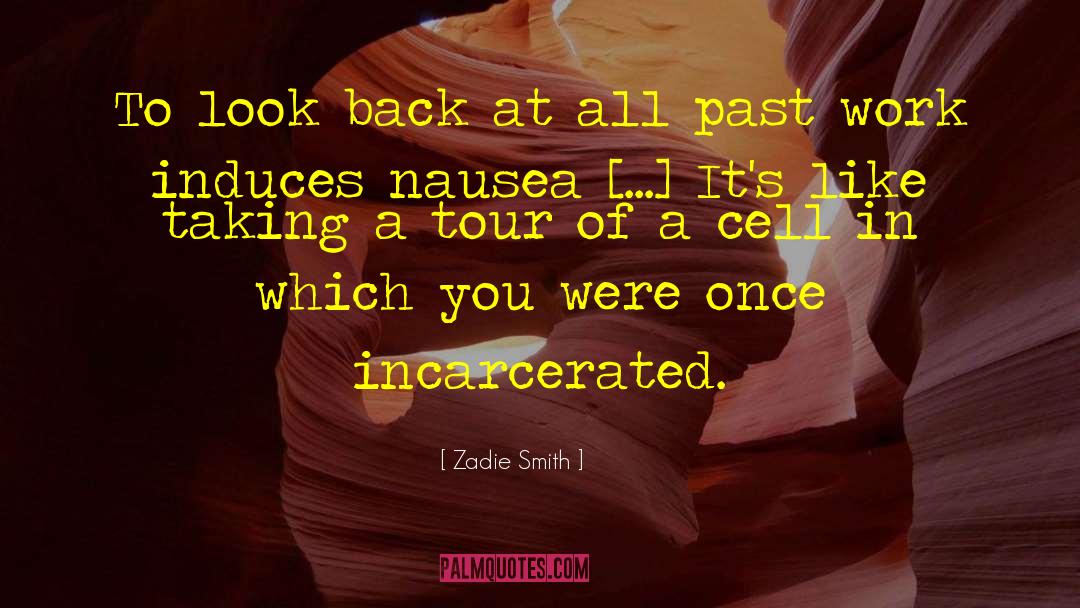 Incarcerated quotes by Zadie Smith