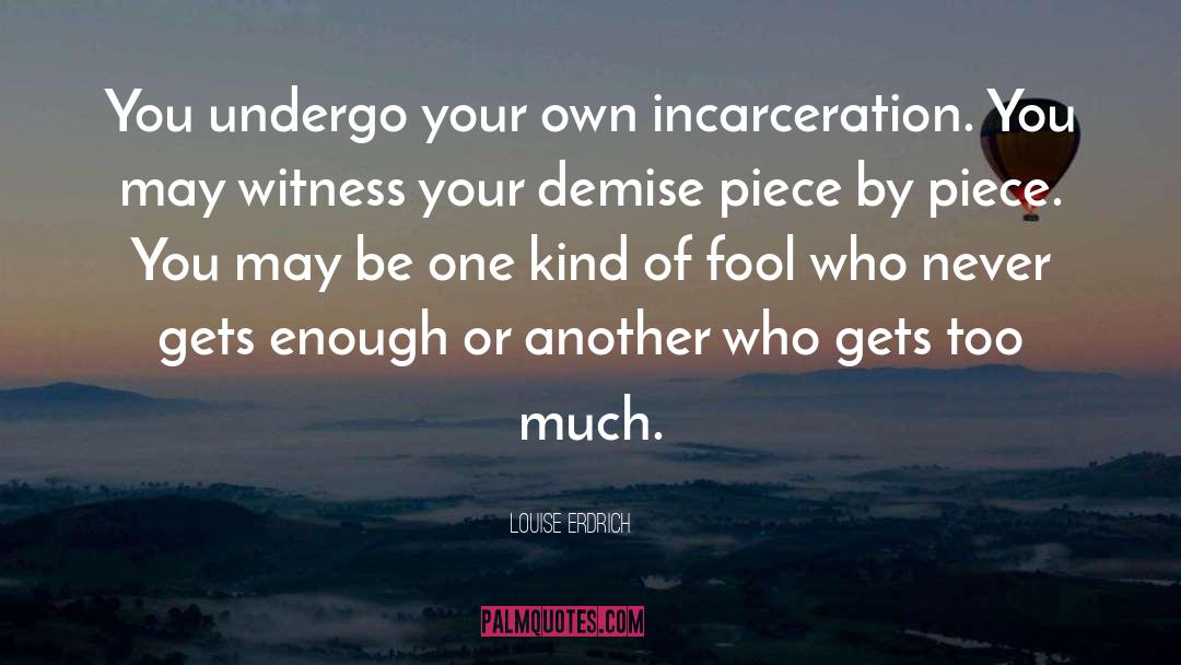 Incarceration quotes by Louise Erdrich