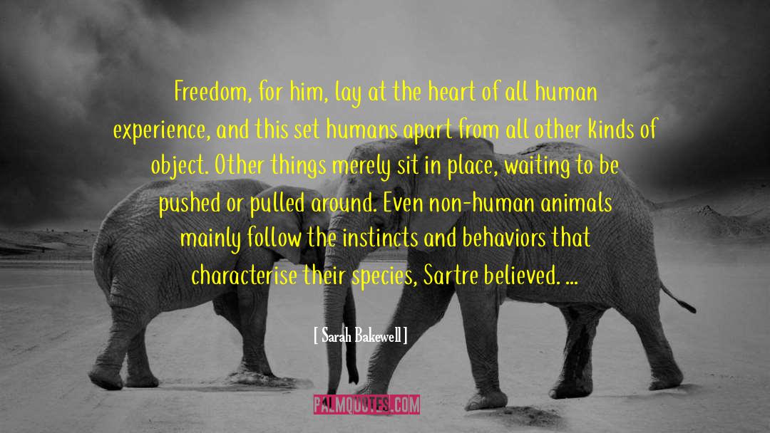 Incarnate As Humans Or Animals quotes by Sarah Bakewell