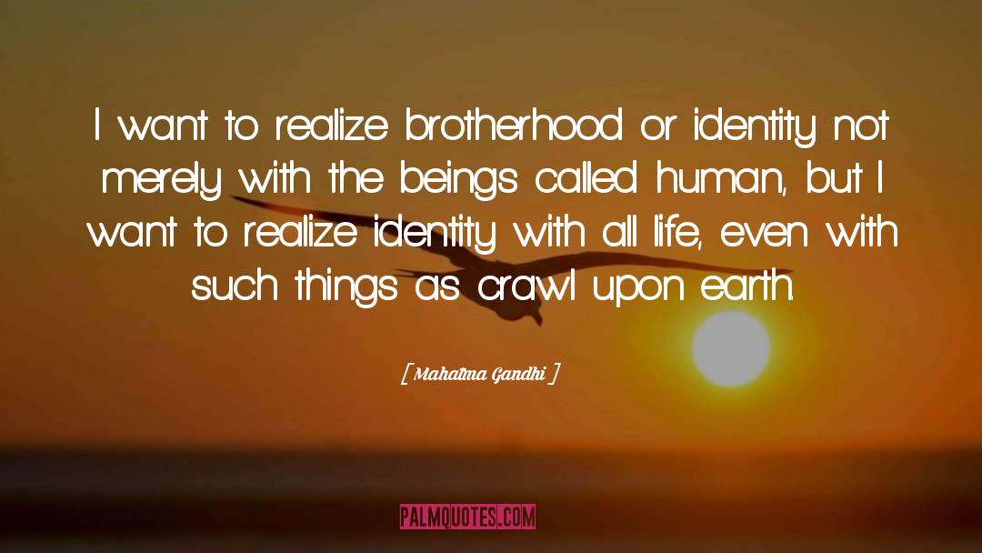 Incarnate As Humans Or Animals quotes by Mahatma Gandhi