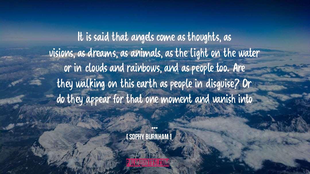 Incarnate As Humans Or Animals quotes by Sophy Burnham