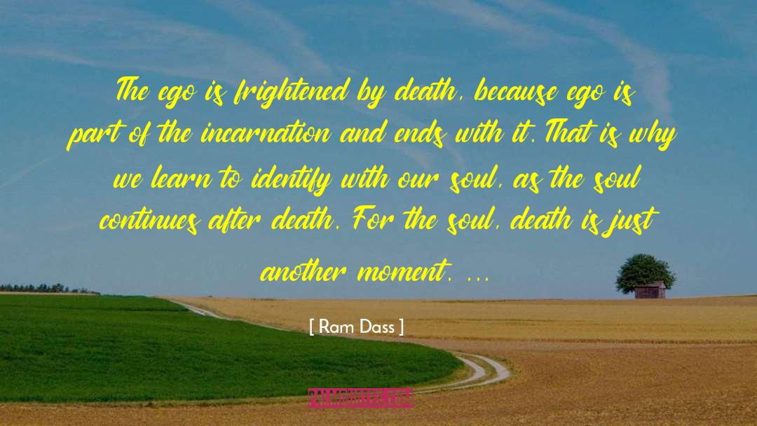Incarnation quotes by Ram Dass