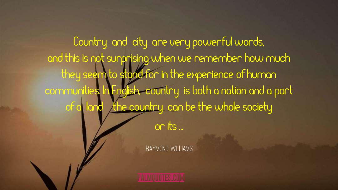 Incarnational Communities quotes by Raymond Williams