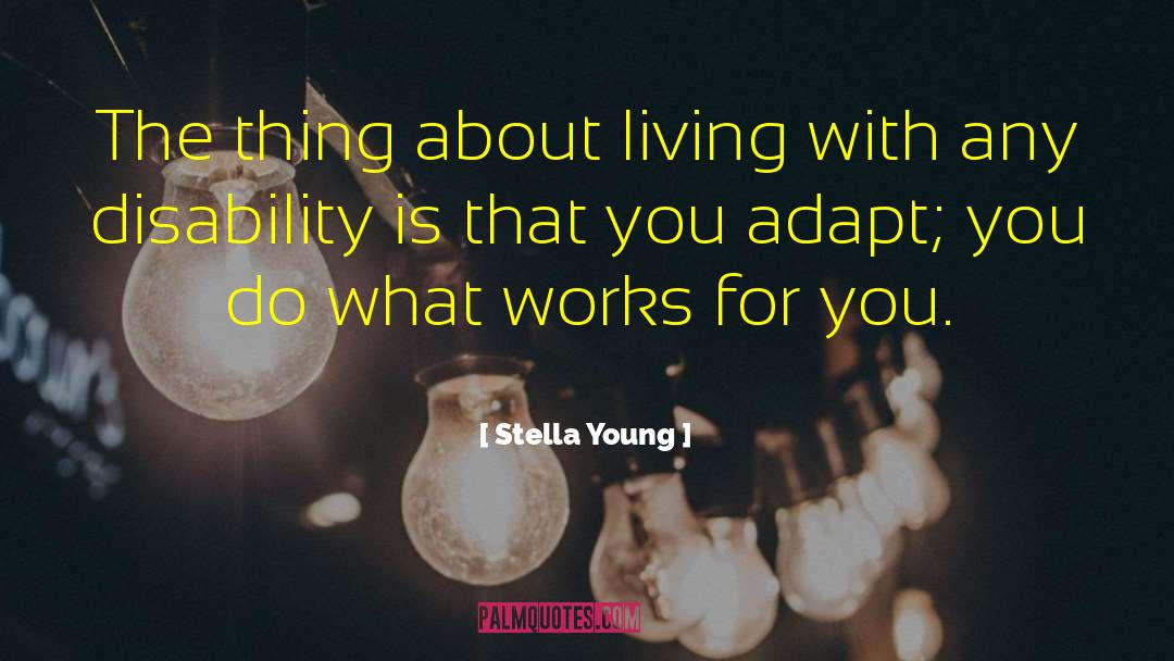 Incat Disability quotes by Stella Young