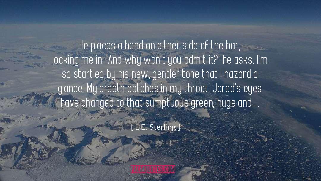 Inches quotes by L.E. Sterling