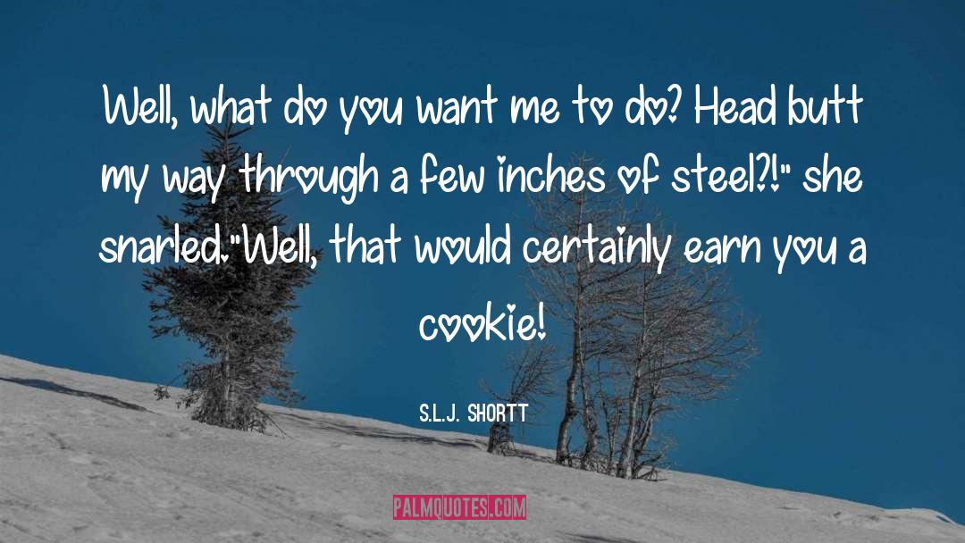 Inches quotes by S.L.J. Shortt
