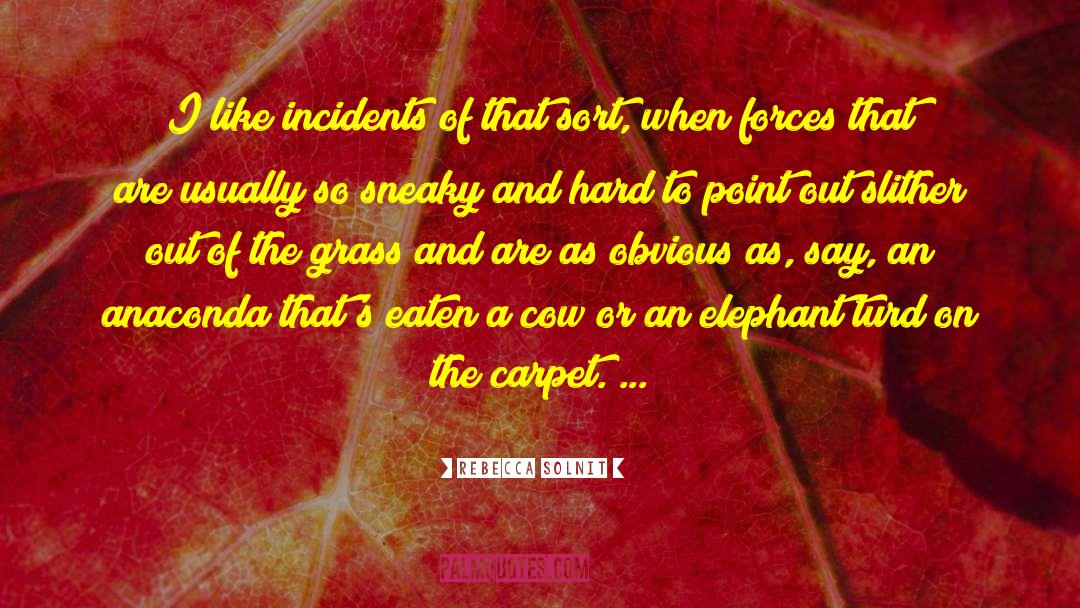 Incidences Or Incidents quotes by Rebecca Solnit