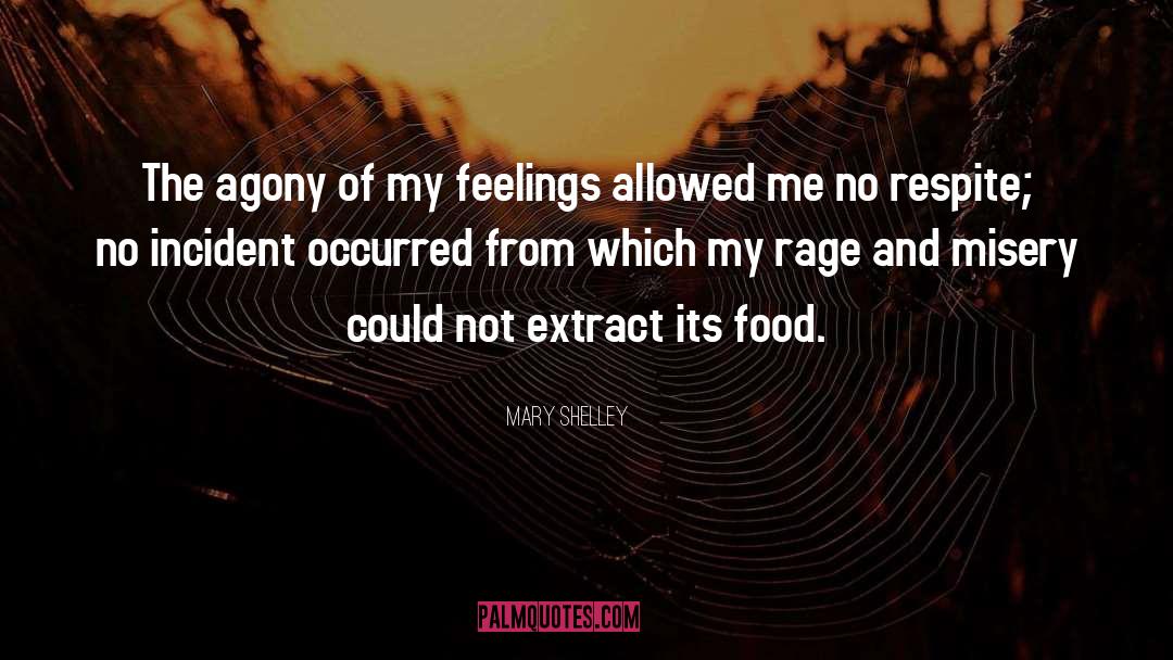 Incidents quotes by Mary Shelley