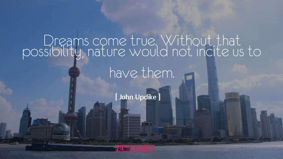 Incite quotes by John Updike
