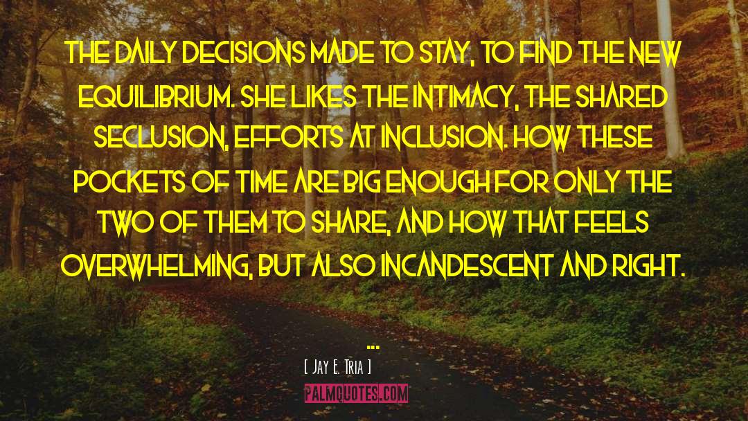 Inclusion quotes by Jay E. Tria
