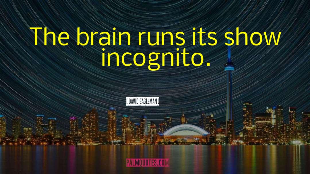 Incognito quotes by David Eagleman