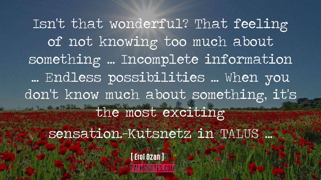 Incomplete Information quotes by Erol Ozan