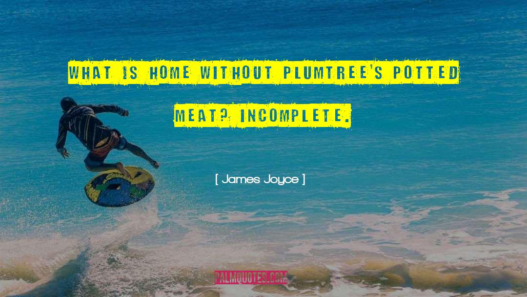Incomplete quotes by James Joyce