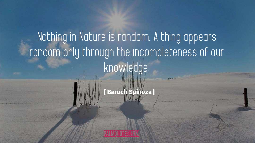 Incompleteness quotes by Baruch Spinoza