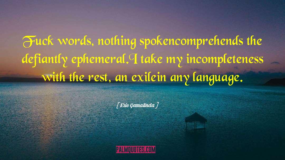 Incompleteness quotes by Eric Gamalinda